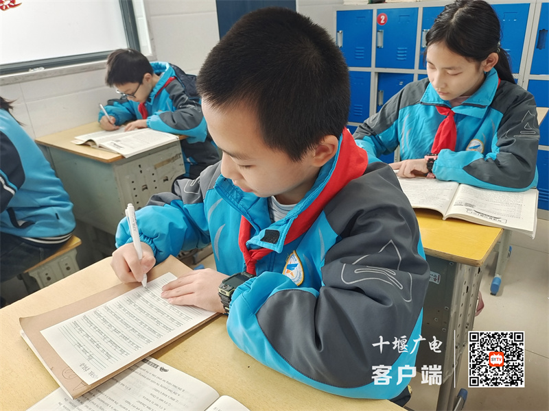 QQ图片20231229124252_副本