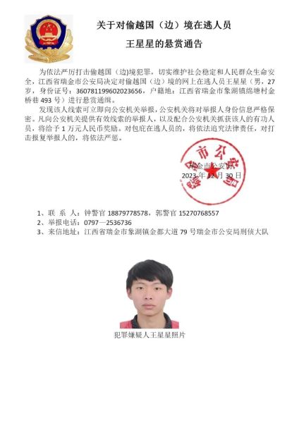auto-orient,1 (6)