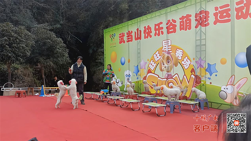 图片 9