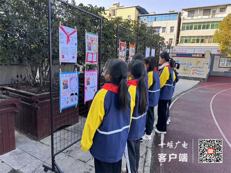微信图片_20240103211736_副本