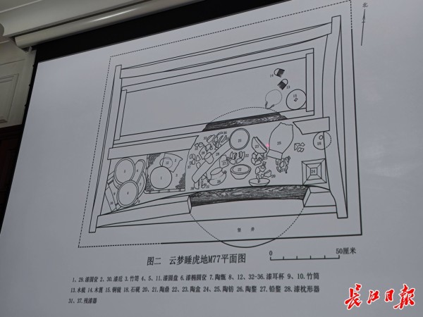 auto-orient,1 (5)