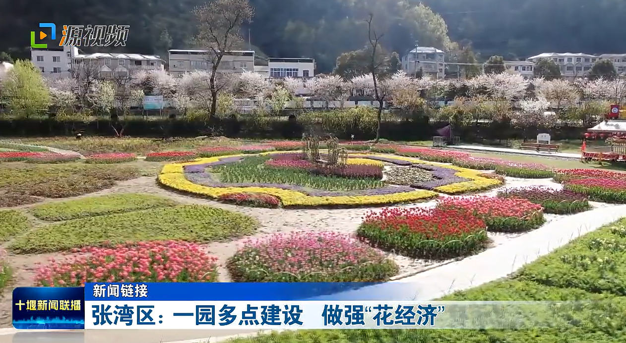 QQ图片20240113193038