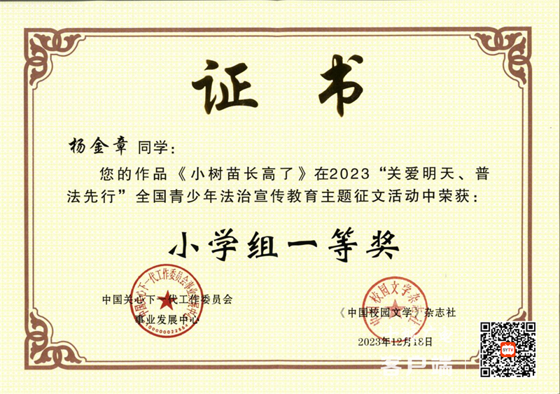 图片2_副本