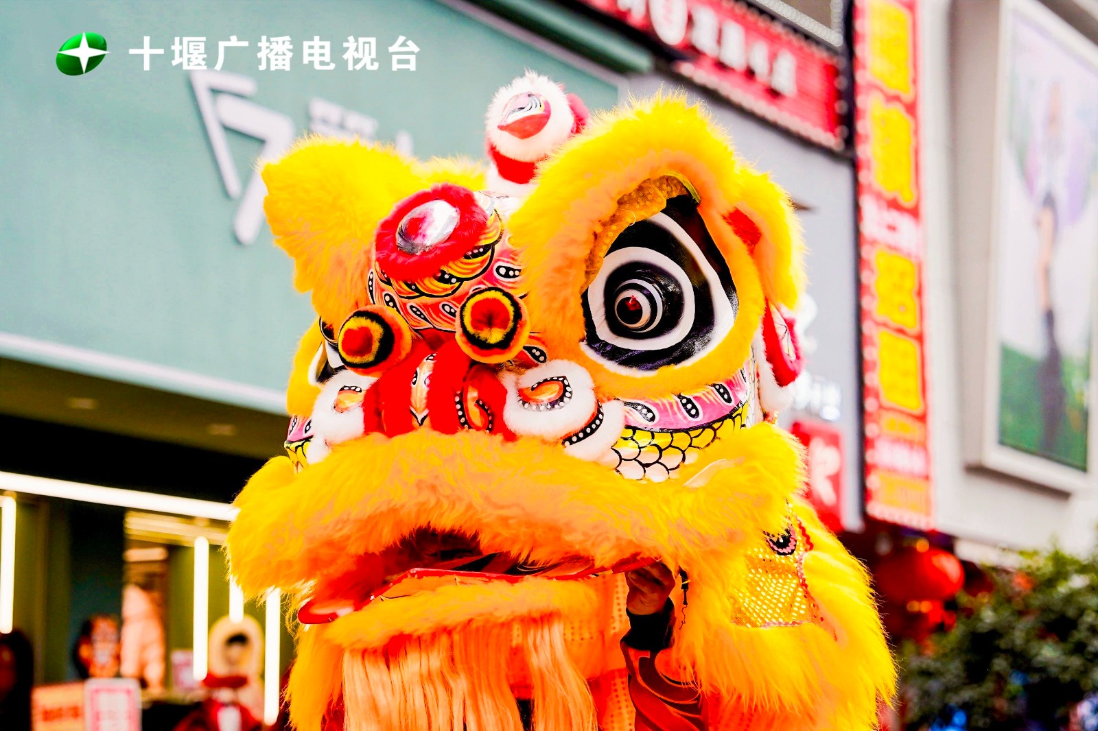 微信图片_20240120132520
