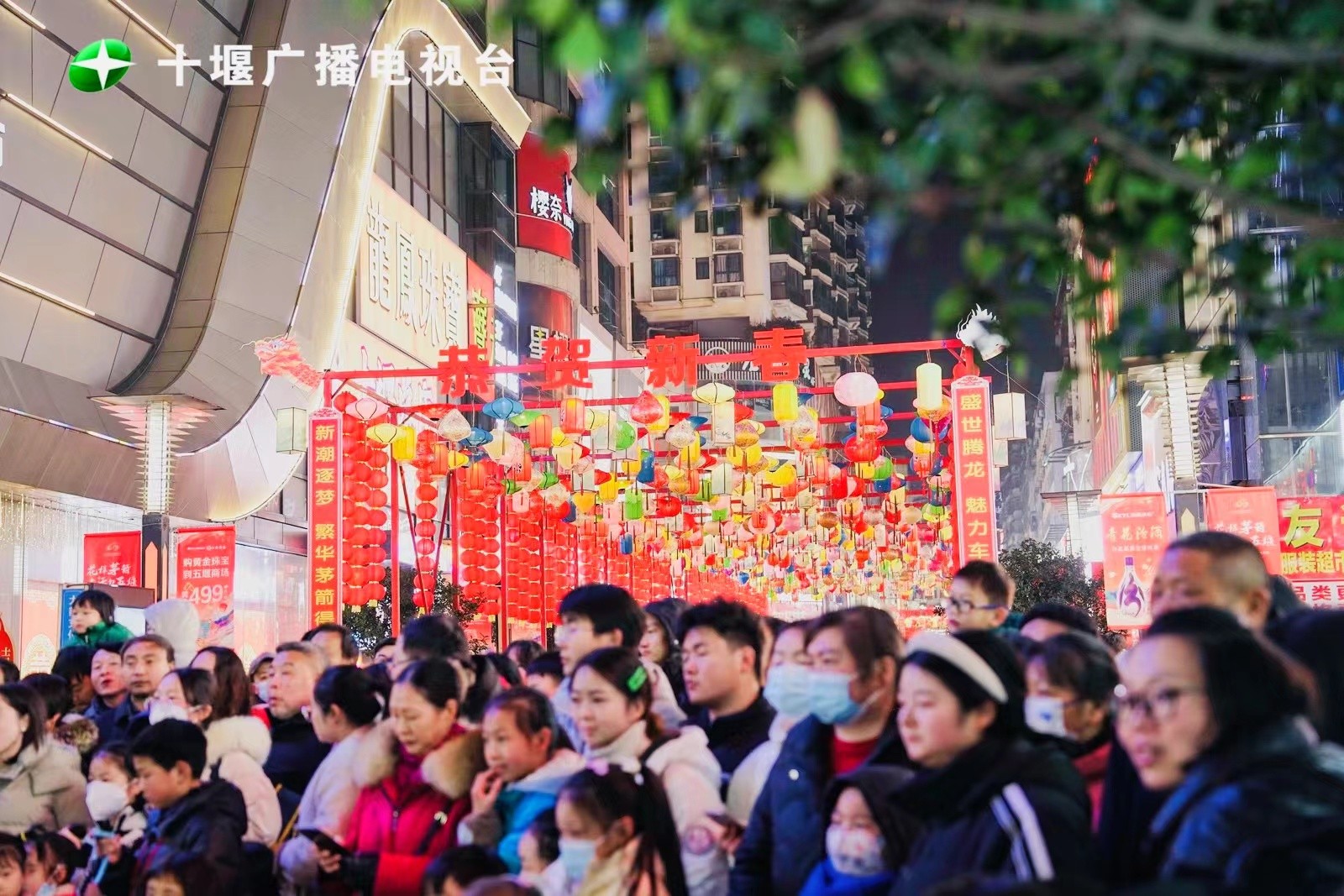 微信图片_20240123104151