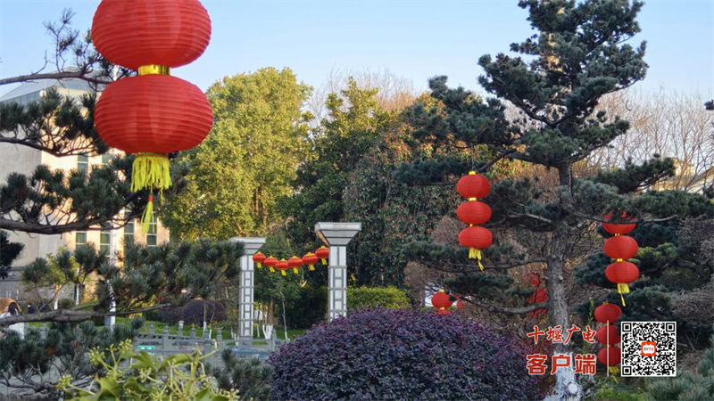 图片 2