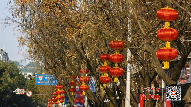 图片 5