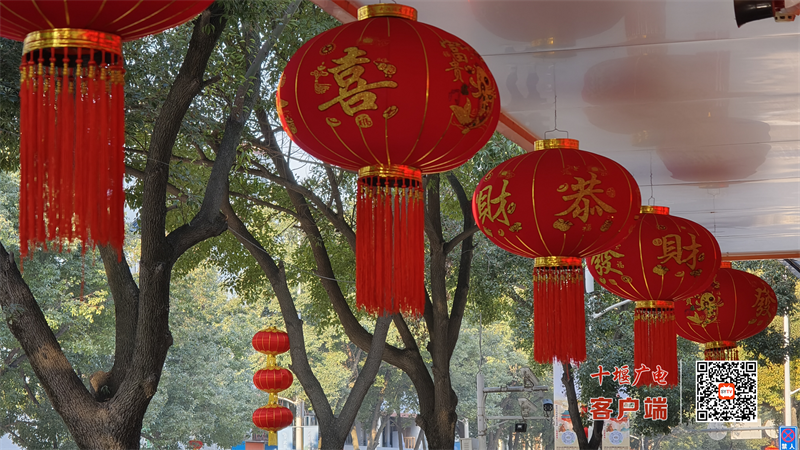 图片 7