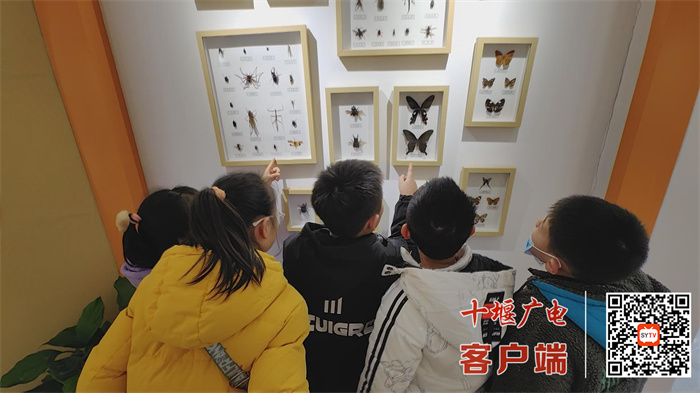 img07f12f58a82545ae90bd78ba1dff09c2_副本