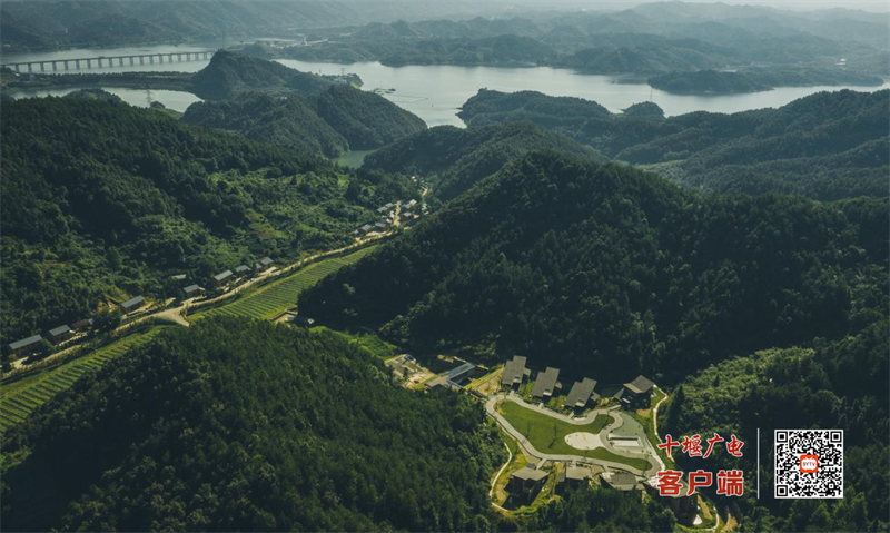 图片 1