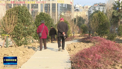 张湾区实验小学口袋公园计划元宵节建设完成-00-00-24--00-00-33-1