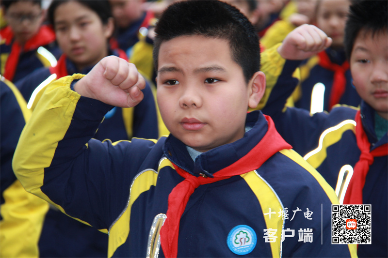 微信图片_20240227104204_副本