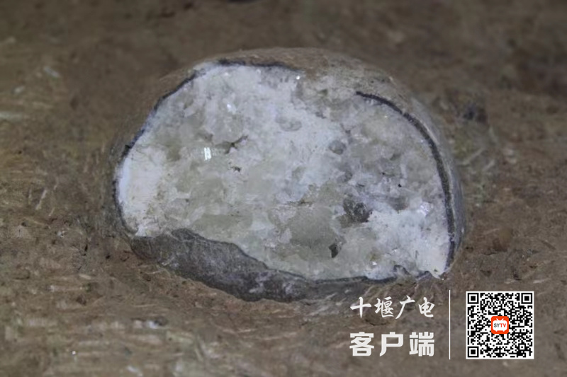 微信图片_20240305201709