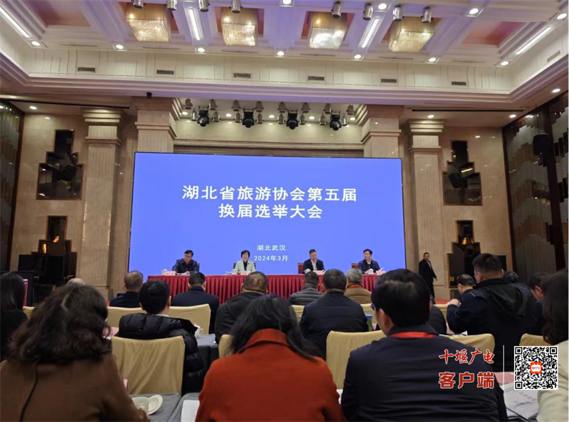 图片5