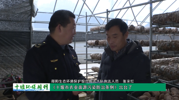QQ截图20240311145447