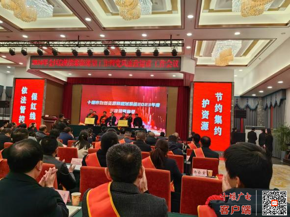 图片6