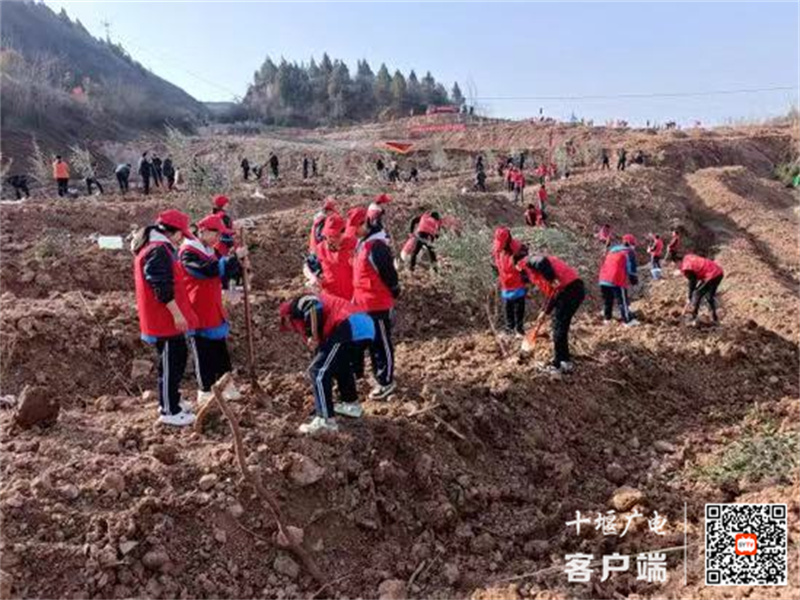 微信图片_20240312213126_副本