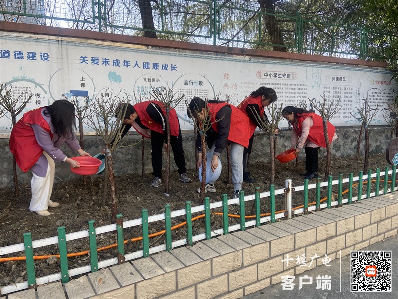 微信图片_20240312172730_副本