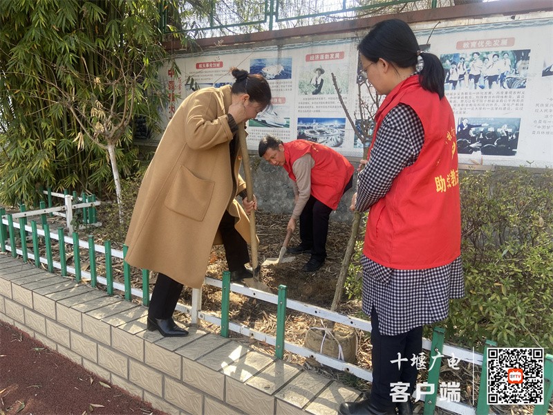 微信图片_20240312172710_副本