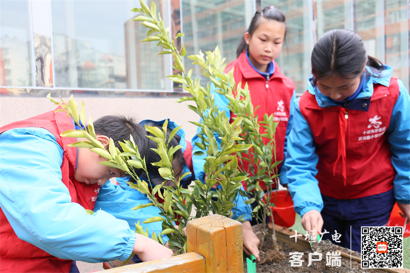 微信图片_20240312172756_副本