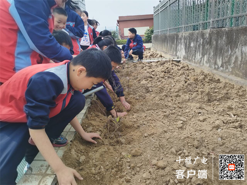 微信图片_20240313094633_副本