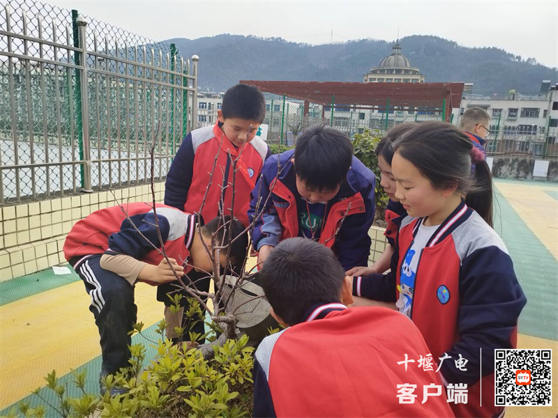 微信图片_20240313094646_副本