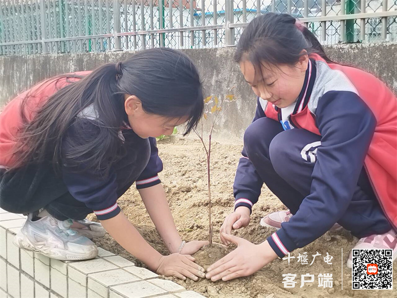 微信图片_20240313094650_副本