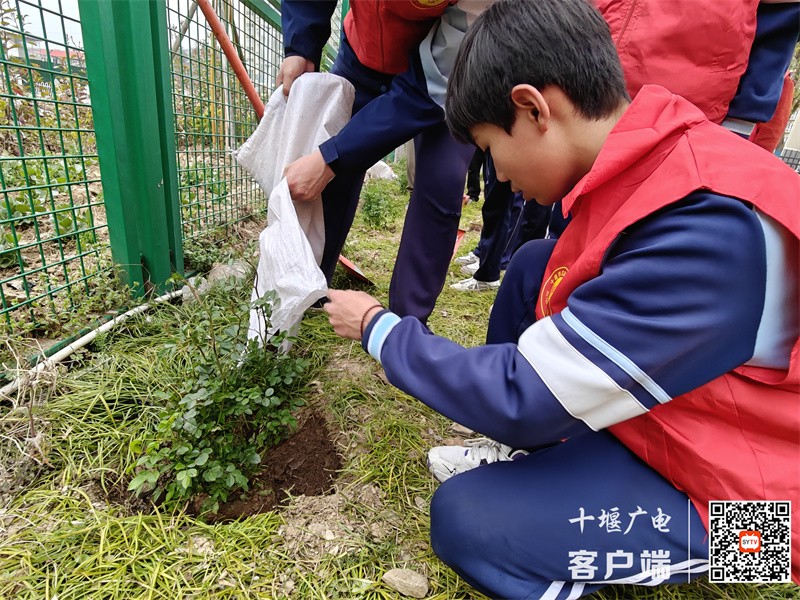 微信图片_20240313100819_副本