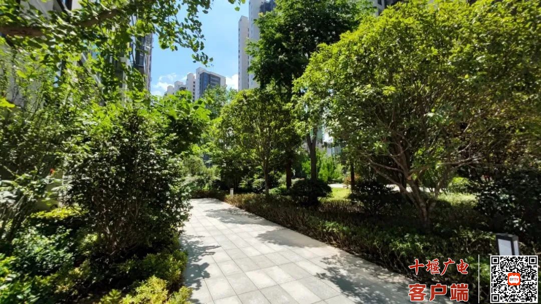 实景图5_副本