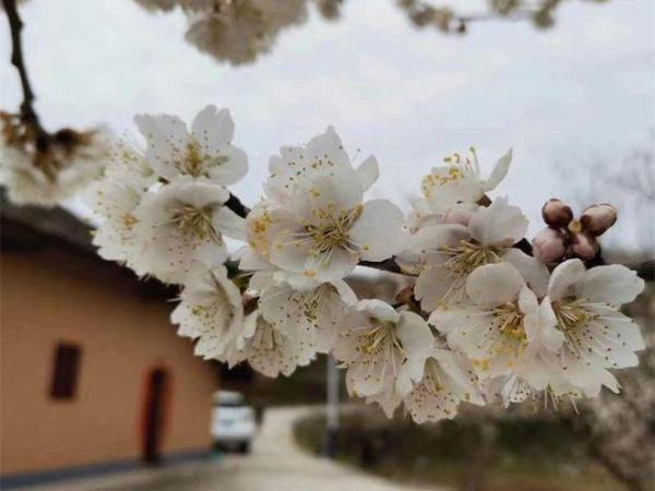 _url=http%3A%2F%2Fdingyue.ws.126.net%2F2023%2F0308%2Ff455b0b8j00rr6x5b001fd000m800gop