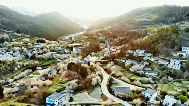 3月20日(3)20243201443405