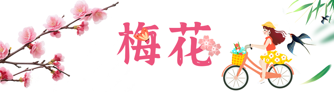 微信图片_20240320150406