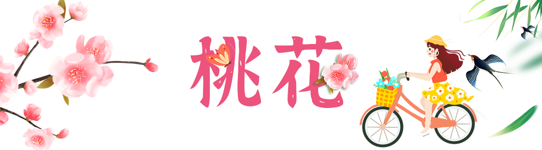 微信图片_20240320150413