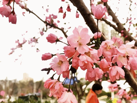 3月20日(5)2024320151437