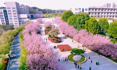3月20日(9)202432015331011