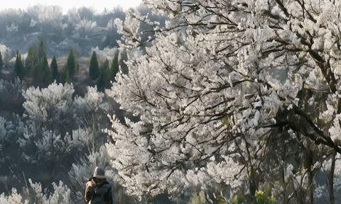 3月20日(10)202432015345012