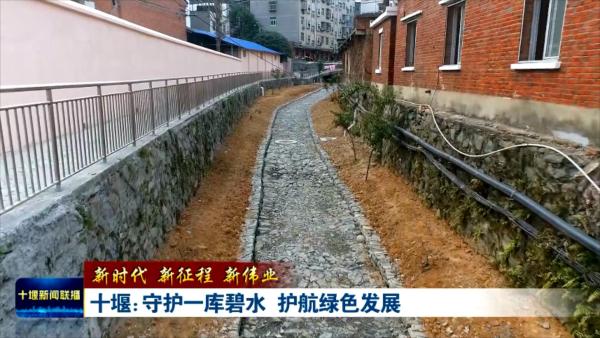 改  十堰：守护一库碧水  护航绿色发展 (1).mp4_20240321_184415291