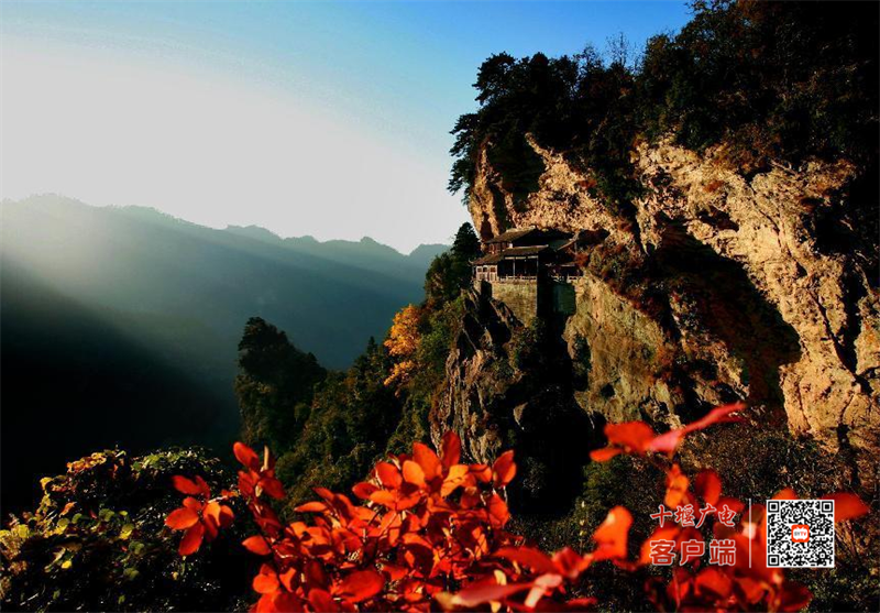 图片 4