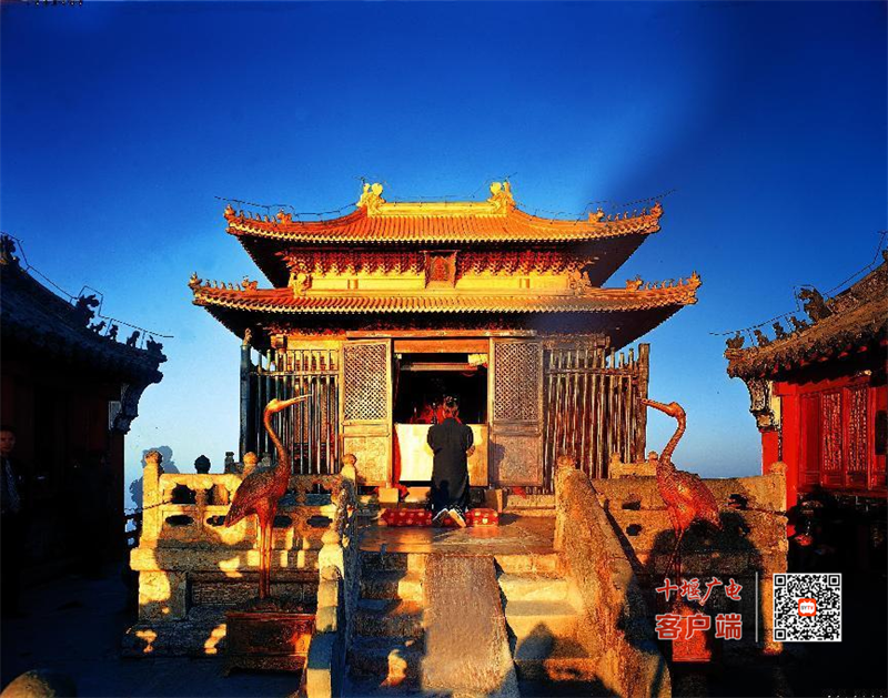 图片 7