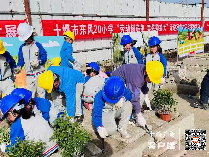 微信图片_20240322223444_副本