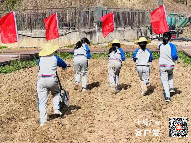 微信图片_20240322223451_副本