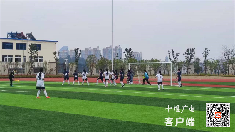 微信图片_20240325182032_副本