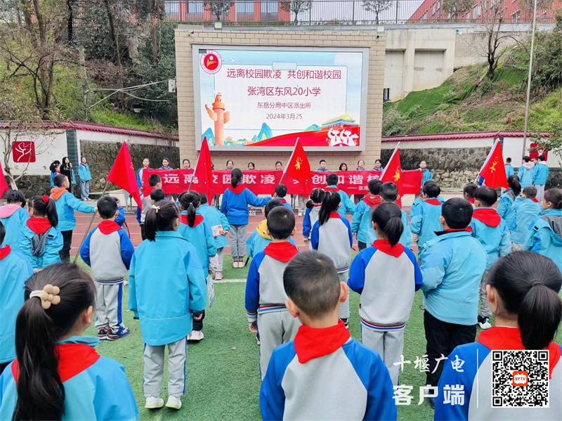 微信图片_20240325192224_副本