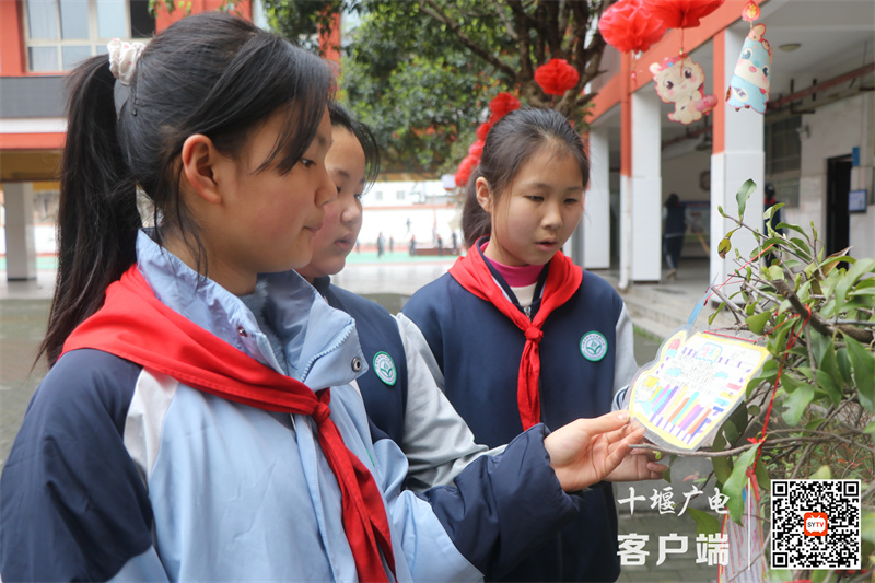 微信图片_20240328195341_副本