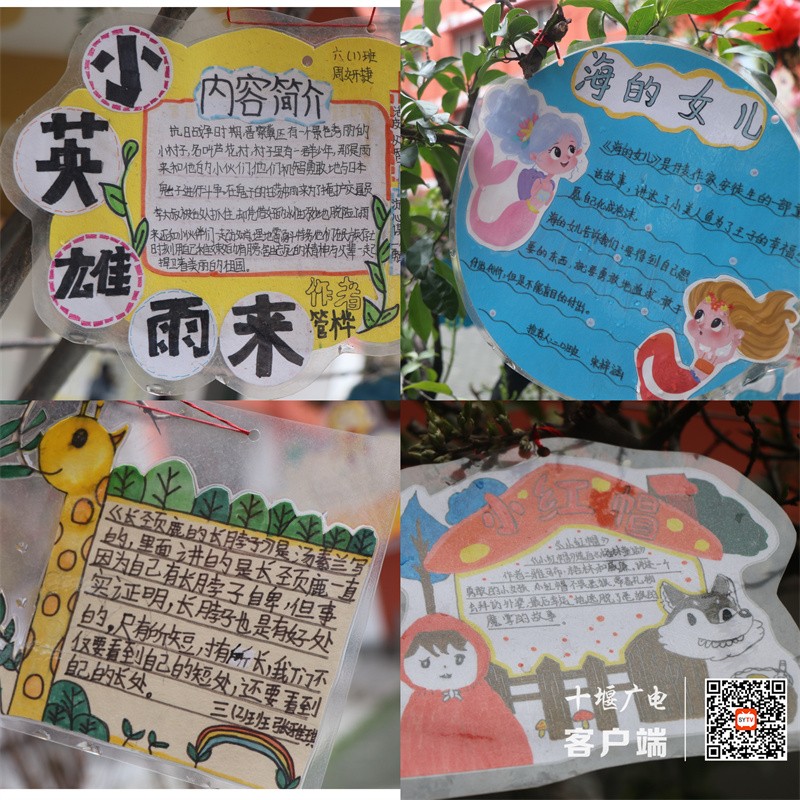 微信图片_20240328195352_副本