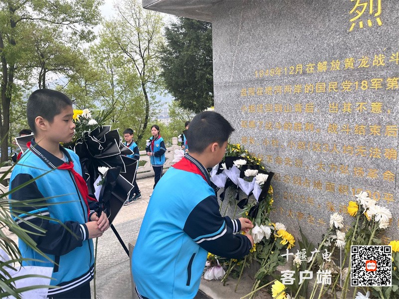 QQ图片20240402095124_副本