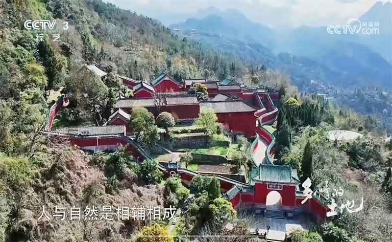 图片 4