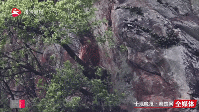 640_wx_fmt=gif&from=appmsg&tp=webp&wxfrom=5&wx_lazy=1&wx_co=1