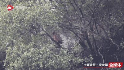 640_wx_fmt=gif&from=appmsg&tp=webp&wxfrom=5&wx_lazy=1&wx_co=1 (1)