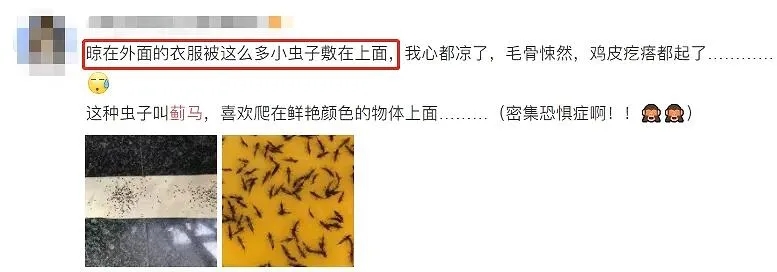 640_wx_fmt=jpeg&wxfrom=5&wx_lazy=1&wx_co=1&tp=webp.webp